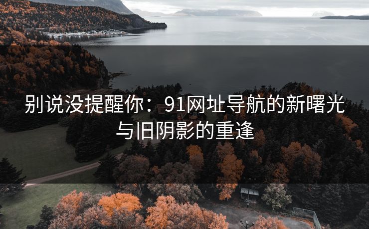别说没提醒你：91网址导航的新曙光与旧阴影的重逢