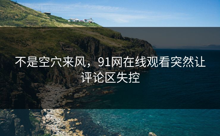 不是空穴来风，91网在线观看突然让评论区失控