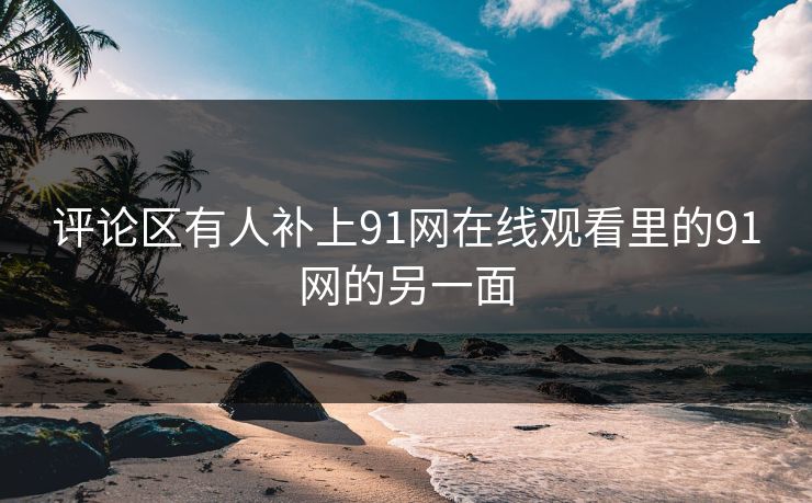 评论区有人补上91网在线观看里的91网的另一面